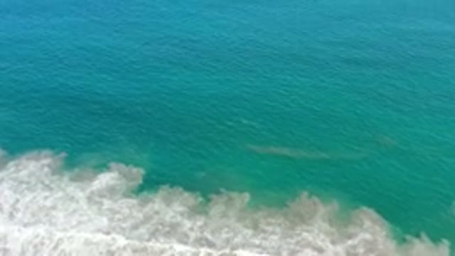 LOS CABOS MEXICO-2020: Veering From The Crushing Waves To Vast And Endless Ocean