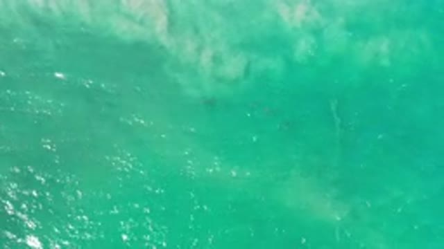 LOS CABOS MEXICO-2020: Bird's Eye View Of Beach Shore