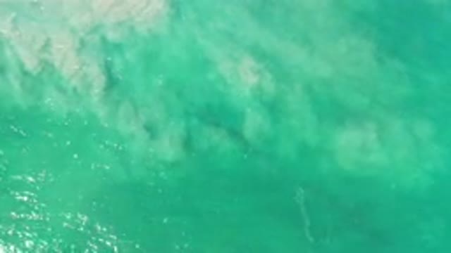 LOS CABOS MEXICO-2020: A Fog On A Water