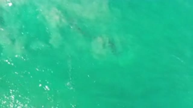 LOS CABOS MEXICO-2020: Clear Green Ocean With Sand Gently Moving Beneath The Surface