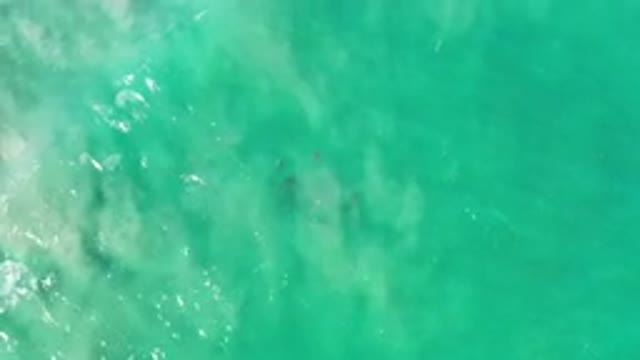 LOS CABOS MEXICO-2020: Green Sea On A Calm Beautiful Day