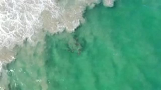 LOS CABOS MEXICO-2020: Ocean Washes On Shore