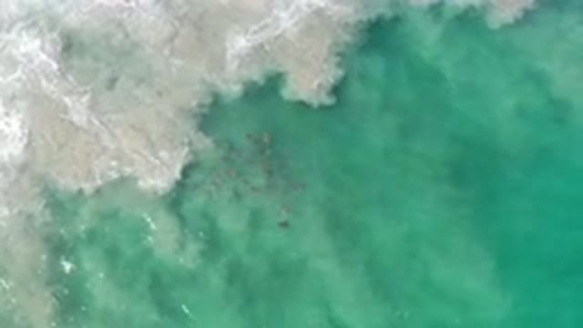 LOS CABOS MEXICO-2020: Free Flowing Waves Of Clear Water In Sea Showing Its Purity