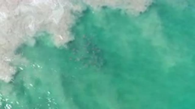 LOS CABOS MEXICO-2020: Simple And Beautiful Footage Of Waves And Crystal Clear Water