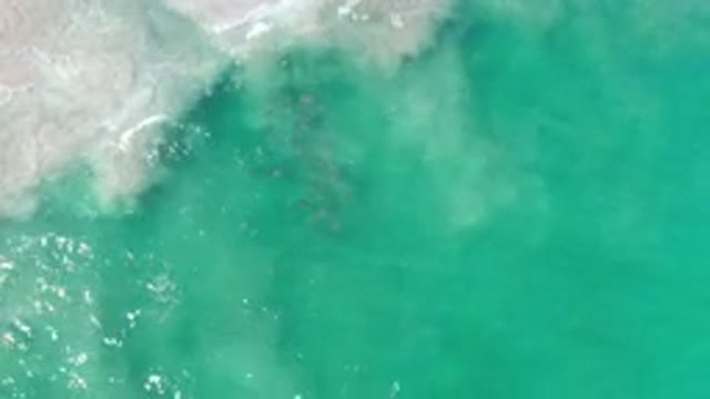 LOS CABOS MEXICO-2020: A Beautiful Scene of The Green Sea