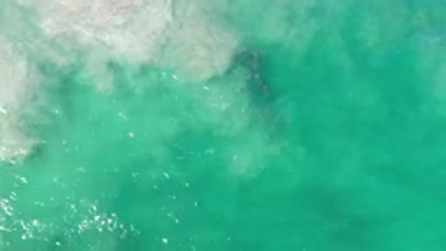 LOS CABOS MEXICO-2020: Green-Tinted Water Wave in Slow Motion