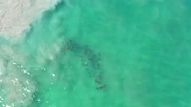LOS CABOS MEXICO-2020: Straight Top View Of Green Water Waves With Loose Sands
