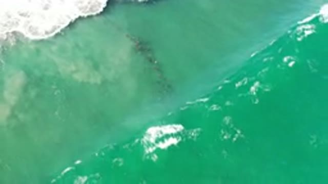LOS CABOS MEXICO-2020: Green Seawater Washes Ashore In Undulating Waves With