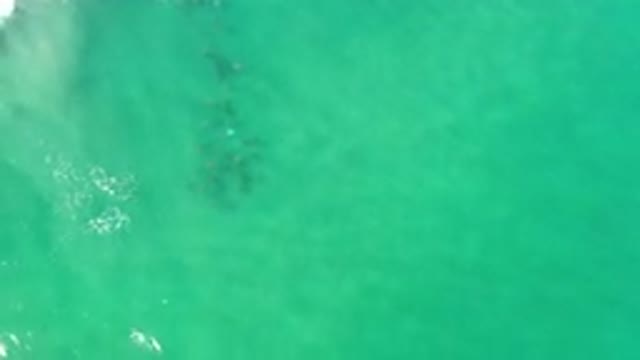 LOS CABOS MEXICO-2020: Moving Water In A Blue Ocean With A Quiet Calm And