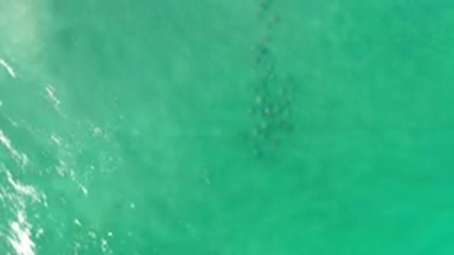 LOS CABOS MEXICO-2020: Birds Eye View Of A Beautiful Tropical Ocean