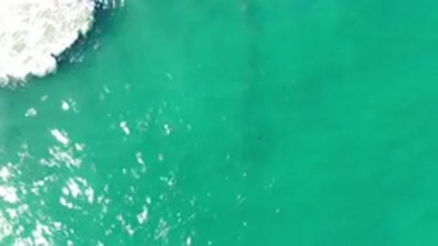 LOS CABOS MEXICO-2020: Brilliant Scene of a Green Sea Relaxing Me
