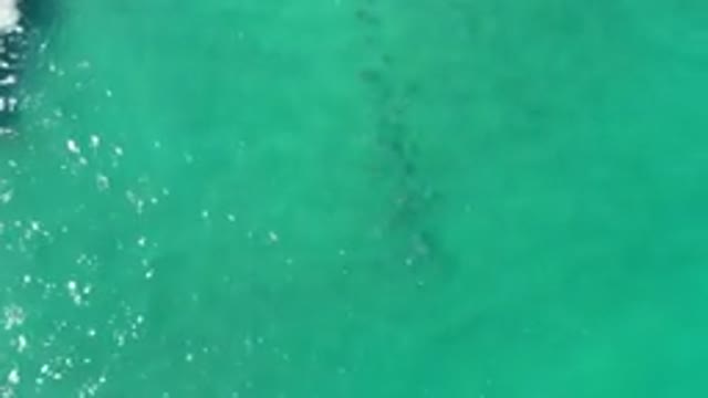 LOS CABOS MEXICO-2020: Light Green Shaded Wavy Water With Sunlight Reflection On