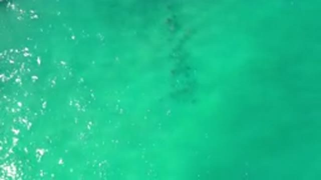 LOS CABOS MEXICO-2020: Light Green Shaded Wavy Water With Sunlight Reflection