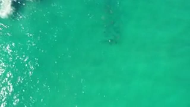 LOS CABOS MEXICO-2020: Calm Green Sea On A Warm Afternoon