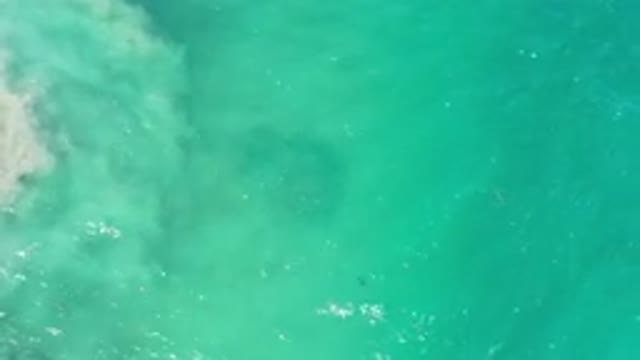 LOS CABOS MEXICO-2020: Ocean Waves Sweeping Sand and Water in Powerful Motion