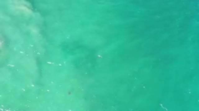 LOS CABOS MEXICO-2020: Clear Green Sea in Los Cabos