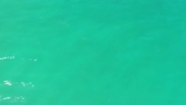 LOS CABOS MEXICO-2020: An Extremely Green Sea With White Foam