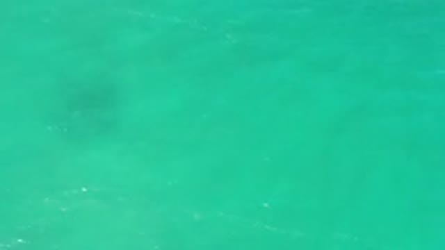 LOS CABOS MEXICO-2020: Green Water Flows Over A Shallow Bottom While The Waves
