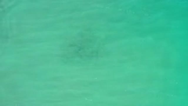 LOS CABOS MEXICO-2020: Green Sea And Waves Caught On Camera