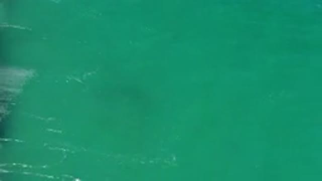 LOS CABOS MEXICO-2020: Clear Waters With Waves Crashing Against The Shore