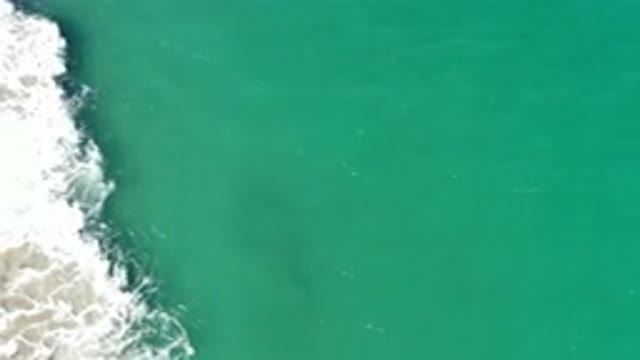 LOS CABOS MEXICO-2020: A Camera Shows A Beautiful Green Water Beach With Waves