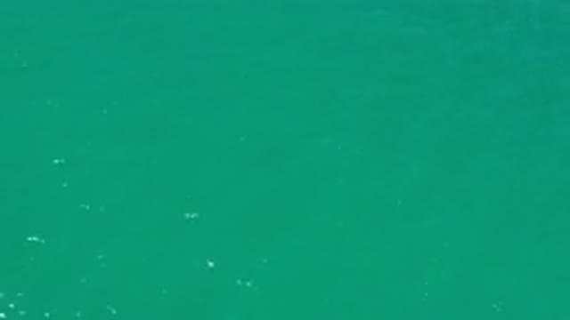 LOS CABOS MEXICO-2020: Water With Green Color Blinking And Shining In A Sunlight