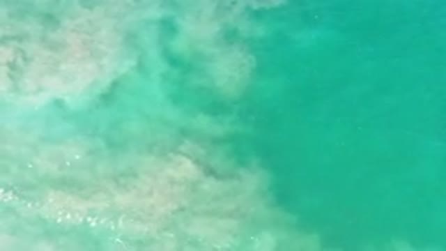 LOS CABOS MEXICO-2020: Wind Over Green Muddy Water