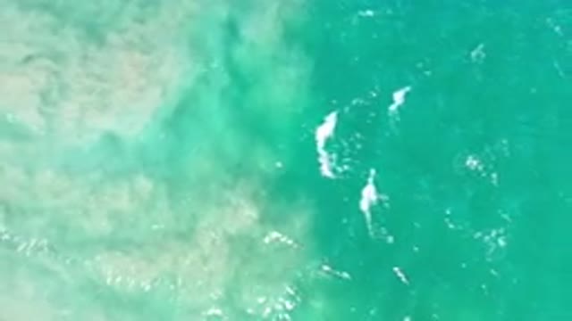 LOS CABOS MEXICO-2020: A Strong Wave in Deep Green Colored Sea