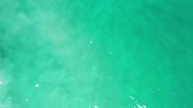 LOS CABOS MEXICO-2020: Green Lava Floats In The Open Sea Far Away From Land