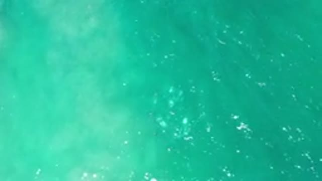 LOS CABOS MEXICO-2020: Green Sea At Its Finest