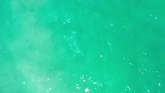 LOS CABOS MEXICO-2020: Green Moving Liquid Sparkling Calming Peaceful