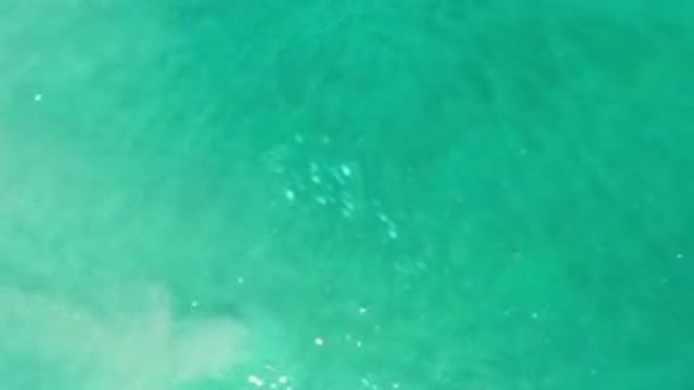 LOS CABOS MEXICO-2020: View Of The Ocean With Aquatic Life