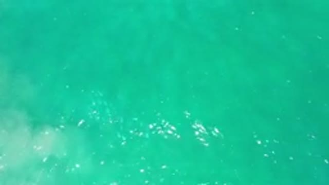 LOS CABOS MEXICO-2020: A Large Body Of Light Blue Water With A School Of Fish