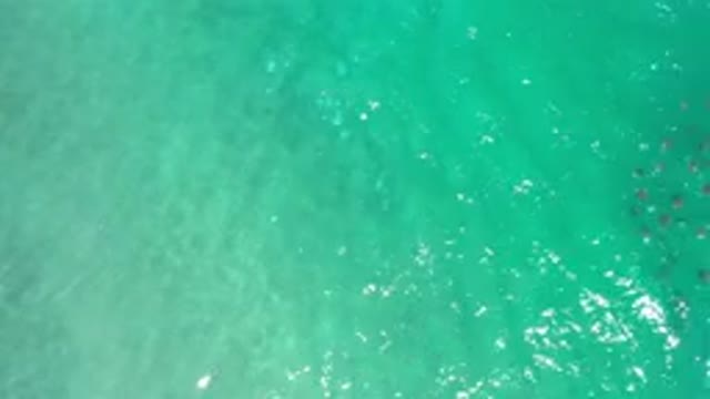 LOS CABOS MEXICO-2020: An Amazing And Beautiful Sea