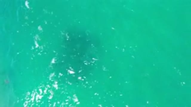 LOS CABOS MEXICO-2020: Teal Blue Sea With Small Waves And Light Reflections On