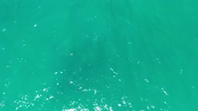 LOS CABOS MEXICO-2020: Most Beautiful Scene of a Green Sea Relaxing His Dad