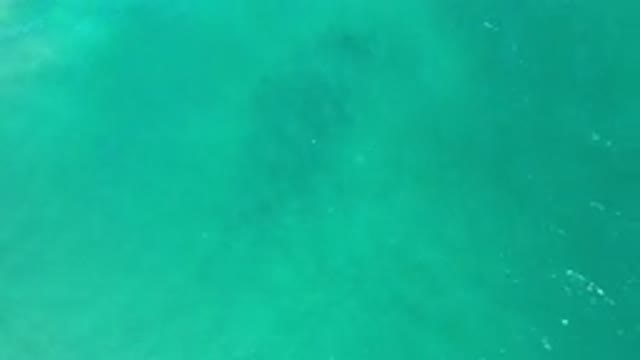 LOS CABOS MEXICO-2020: Clear Green Sea Water and Light Waves