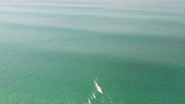 LOS CABOS MEXICO-2020: Calm Green Ocean With Light Waves Devoid Of Sea Life