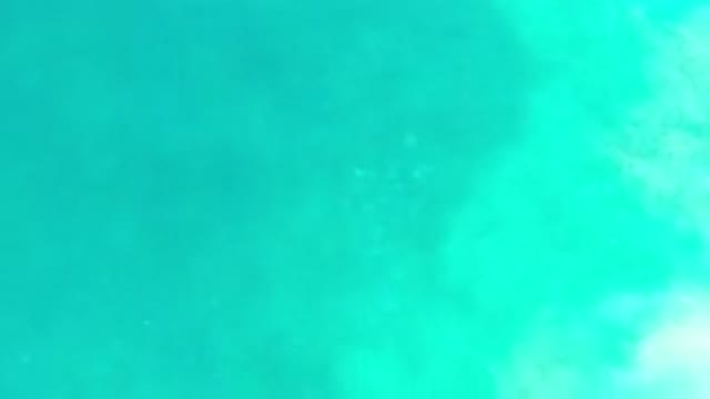 LOS CABOS MEXICO-2020: Light Colored Fish Swim Deep Underneath Clear Green Ocean