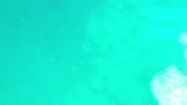 LOS CABOS MEXICO-2020: Green Ocean Water Calm Waves Move Around Freely On Sunny