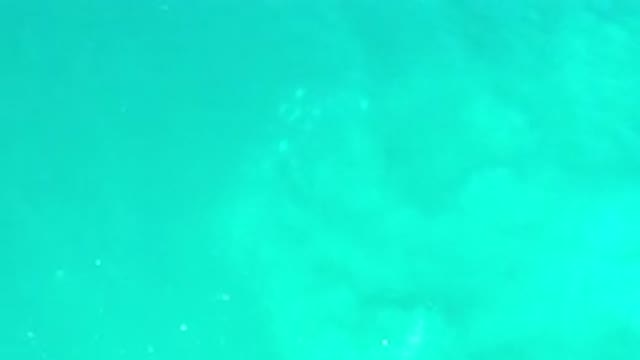 LOS CABOS MEXICO-2020: Green Water With Calm And Crystallize Where We Can See