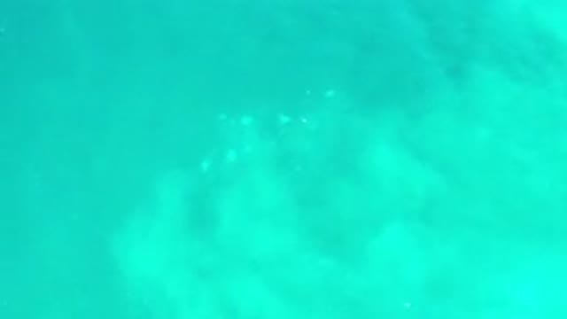 LOS CABOS MEXICO-2020: Relaxing View of a Green Sea