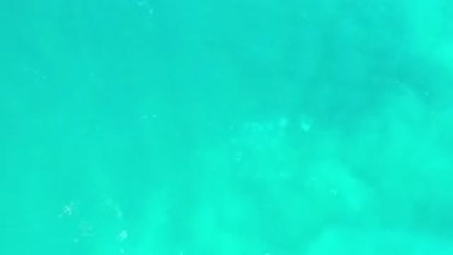 LOS CABOS MEXICO-2020: Clear Bright Blue Body Of Water Flowing Gently During The Day