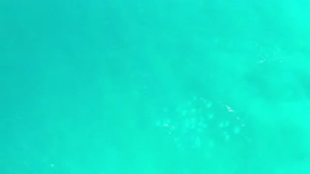 LOS CABOS MEXICO-2020: Blue Water Ripples And Reflects Underneath Thick Green