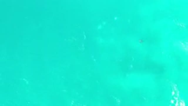 LOS CABOS MEXICO-2020: Blue Green Sea Like An Aquamarine Stone In A Ladies