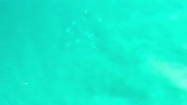 LOS CABOS MEXICO-2020: Purest Scene of a Green Sea Relaxing Him