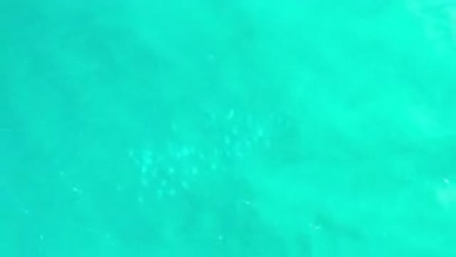 LOS CABOS MEXICO-2020: Beach Showing Blue And Green Peaceful Water Moving On A