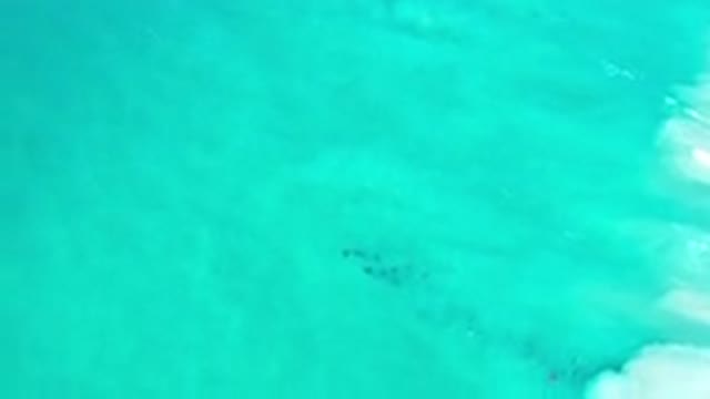 LOS CABOS MEXICO-2020: Viewing The Deep Blue Sea