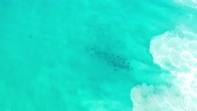 LOS CABOS MEXICO-2020: Aerial View Of The Beautiful Green Ocean With Some