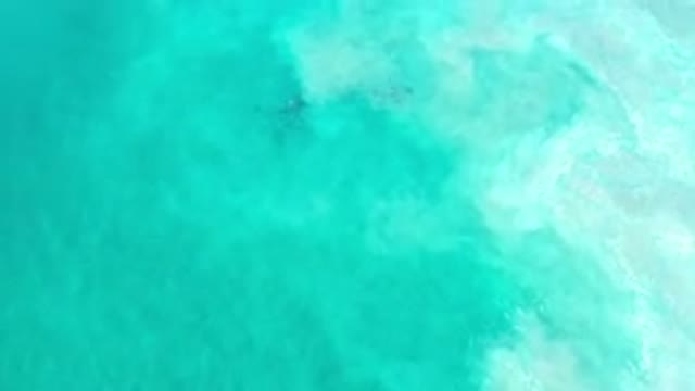 LOS CABOS MEXICO-2020: Small Beautiful Wave Caught On Camera On The Green Sea